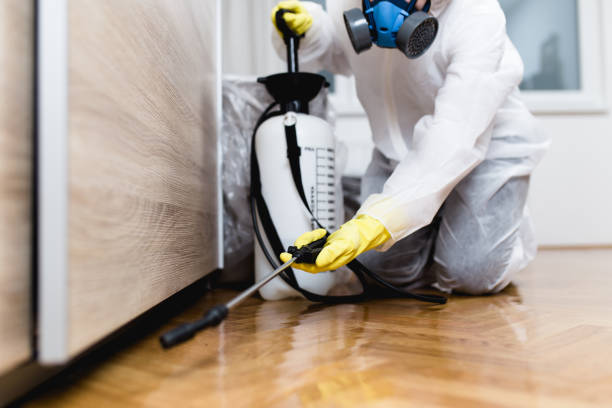 Best Ant Control Services  in Grandview, OK