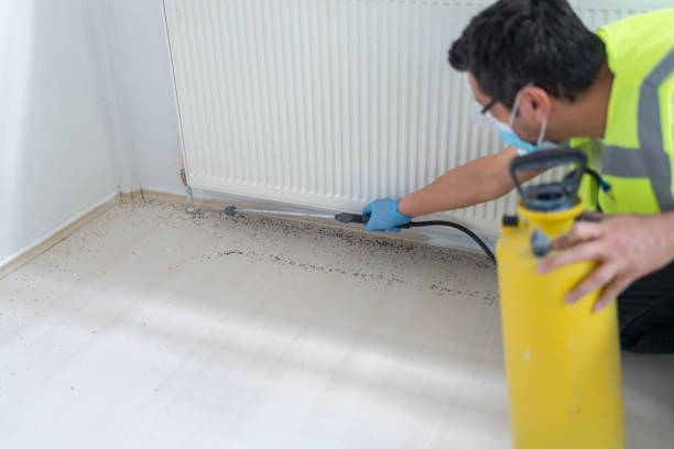 Best Residential Pest Control  in Grandview, OK