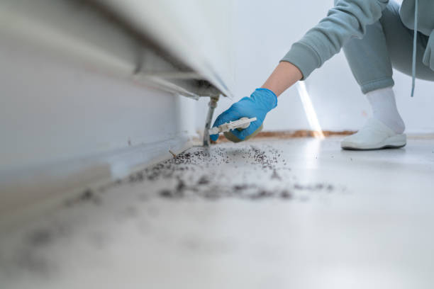 Best Cockroach Control Services  in Grandview, OK